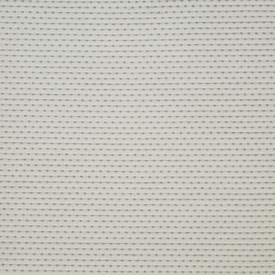 Braille 206 Starlight in HOME & GARDEN-ACT III Silver BELLA-DURA  Blend Fire Rated Fabric Heavy Duty CA 117  NFPA 260  Fun Print Outdoor  Fabric