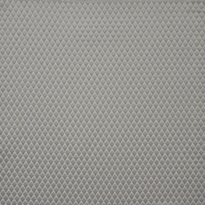 Bambino 156 Chrome in COLOR WAVES-NEUTRAL TERRITORY Silver POLYESTER  Blend Medium Duty  Fabric