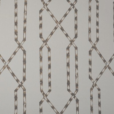 Bamboo Shoots 127 Branch in COLOR WAVES-NEUTRAL TERRITORY POLYESTER/30%  Blend Leaves and Trees  Oriental  Lattice and Fretwork   Fabric