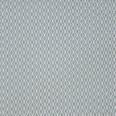 Birds Eye 918 Amazonite in PW-VOL.III PALM BEACH COTTON/20%  Blend Fire Rated Fabric High Performance CA 117  NFPA 260   Fabric
