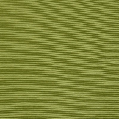 Bursa 24 Sprout in PURE & SIMPLE X Multipurpose RAYON/28%  Blend Medium Duty CA 117  NFPA 260  Ribbed Striped   Fabric