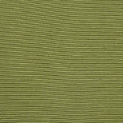 Bursa 25 Apple Moss in PURE & SIMPLE X Green Multipurpose RAYON/28%  Blend Medium Duty CA 117  NFPA 260  Ribbed Striped   Fabric