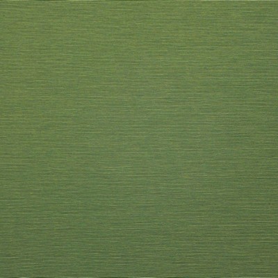 Bursa 26 Clover in PURE & SIMPLE X Green Multipurpose RAYON/28%  Blend Medium Duty CA 117  NFPA 260  Ribbed Striped   Fabric