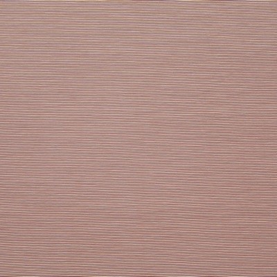 Bursa 35 Rose Mode in PURE & SIMPLE X Pink Multipurpose RAYON/28%  Blend Medium Duty CA 117  NFPA 260  Ribbed Striped   Fabric