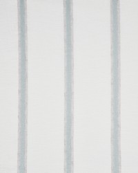 Baez 983 Robins Egg by   