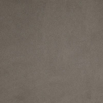 Billiard 17 Elephant in PERFORMANCE VELVETS - VOL. III Grey Upholstery POLYESTER High Performance Solid Velvet   Fabric