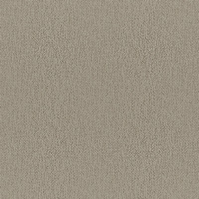Bruno 215 Sepia in COLORGUARD - NOUGAT POLYESTER Traditional Chenille  High Wear Commercial Upholstery  Fabric