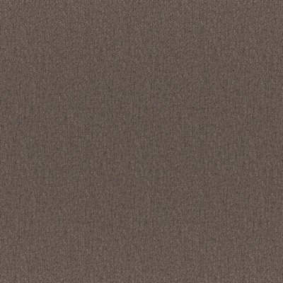 Bruno 254 Truffle in COLORGUARD - NOUGAT Brown POLYESTER Traditional Chenille  High Wear Commercial Upholstery  Fabric