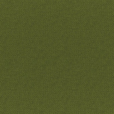 Bruno 835 Palm in COLORGUARD - AMAZONIA Green POLYESTER Traditional Chenille  High Wear Commercial Upholstery  Fabric