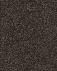 Barrel Race-nj 126 Bistre by  Duralee 