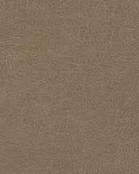 Barrel Race-nj 127 Raw by  Duralee 