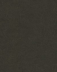 Barrel Race-nj 128 Mole by  Duralee 