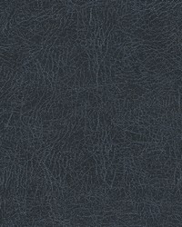 Barrel Race-nj 130 Navy by  Duralee 