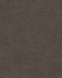 Barrel Race-nj 135 Truffle by  Duralee 