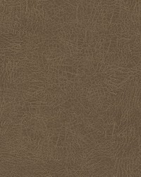 Barrel Race-nj 136 Beaver by  Duralee 