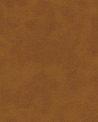 Bonifacio-nj 434 Tawny by   