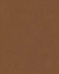 Boyden-nj 927 Sycamore by  Duralee 