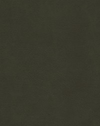 Boyden-nj 929 Guerrila by  Duralee 