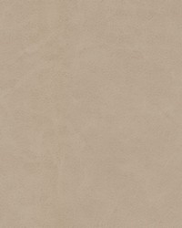 Boyden-nj 932 Ice Melt by  Duralee 