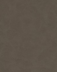 Boyden-nj 933 Silt by  Duralee 