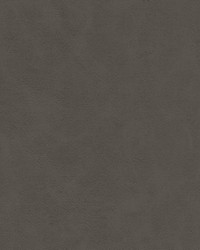 Boyden-nj 934 Storm by  Duralee 