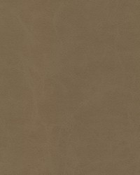 Boyden-nj 935 Sage by  Duralee 