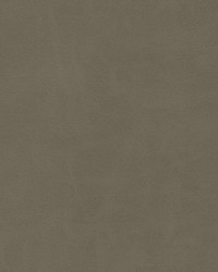 Boyden-nj 937 Connemara by  Duralee 