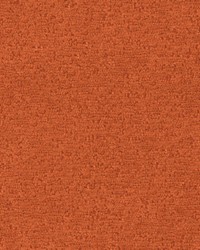 Brava 826 Pumpkin by   