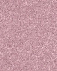 Brava 828 Boudoir by   