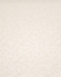 Bellwyck 419 Ivory by  Robert Allen 