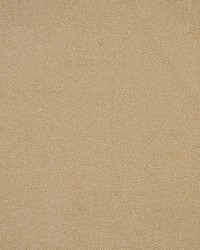 Banker 849 Bluff by  Lee Jofa 