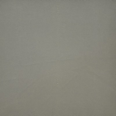 Bewitched 256 Chia in EASY RIDER V PVC  Blend Fire Rated Fabric High Wear Commercial Upholstery CA 117  NFPA 260   Fabric