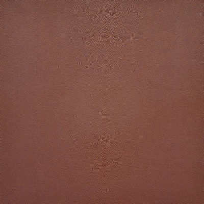 Bewitched 264 Sedona in EASY RIDER V PVC  Blend Fire Rated Fabric High Wear Commercial Upholstery CA 117  NFPA 260   Fabric