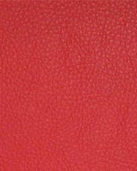 Classic003 American Beauty by  Maxwell Fabrics 