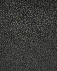 Classic005 Black by  Maxwell Fabrics 