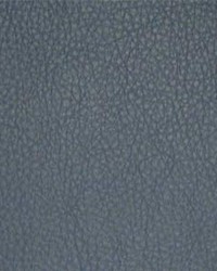 Classic006 Blue Ridge by  Maxwell Fabrics 