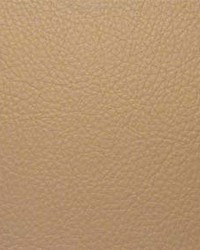 Classic009 Buff by  Maxwell Fabrics 