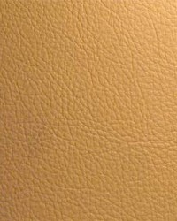 Classic011 Cashew by  Maxwell Fabrics 