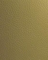 Classic013 Celery by  Maxwell Fabrics 