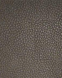 Classic014 Chocolate by  Maxwell Fabrics 