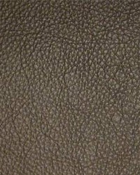 Classic018 Fudge by  Maxwell Fabrics 