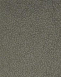Classic019 Granite by  Maxwell Fabrics 