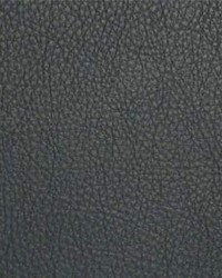 Classic027 Navy by  Maxwell Fabrics 