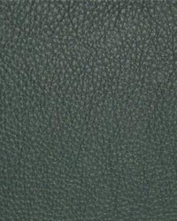 Classic028 Orchard by  Maxwell Fabrics 