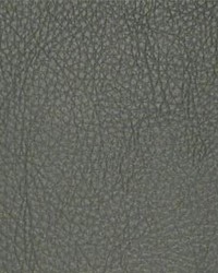 Classic031 Pewter by  Maxwell Fabrics 