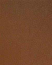 Classic034 Saddle by  Maxwell Fabrics 