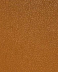 Classic035 Saffron by  Maxwell Fabrics 