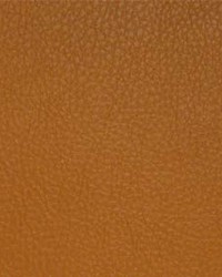 Classic035 Saffron by  Maxwell Fabrics 