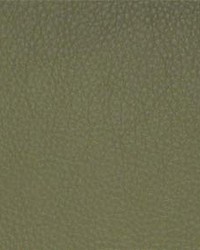 Classic036 Sage by  Maxwell Fabrics 