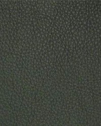 Classic039 Spruce by  Maxwell Fabrics 